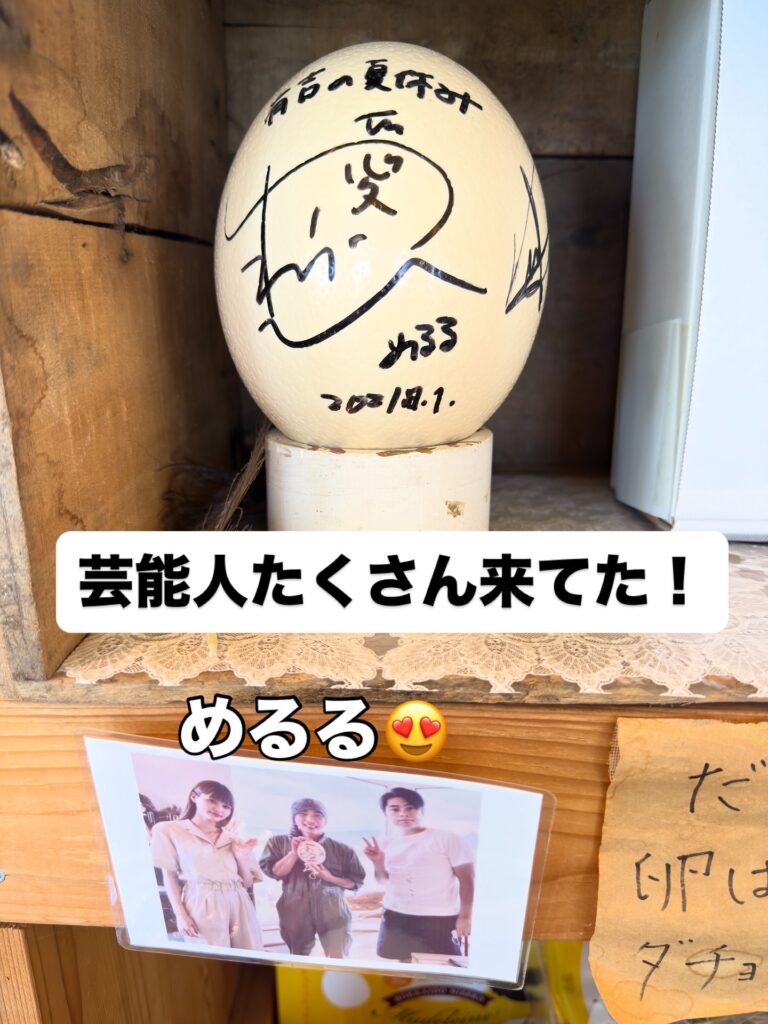 北海道ニセコの人気観光地「第二有島だちょう牧場」に展示された、めるる(生見愛瑠)が『有吉の夏休み』でサインした巨大ダチョウの卵
