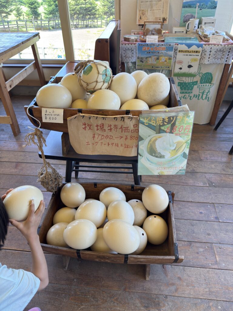 Fresh ostrich eggs starting from 800 yen at Daini Arishima Ostrich Farm in Niseko, Hokkaido – rare local specialty and popular souvenir