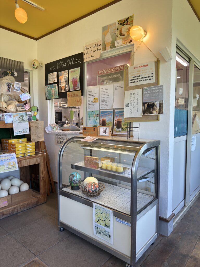 北海道ニセコ・だちょう屋さんカフェ受付の様子|しそジュースや幻のプリン、ダチョウの卵アート&有名人のサイン展示も