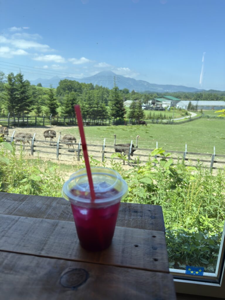 北海道ニセコ・第二有島だちょう牧場カフェで提供される名物しそジュースと羊蹄山ビューの絶景カフェ風景