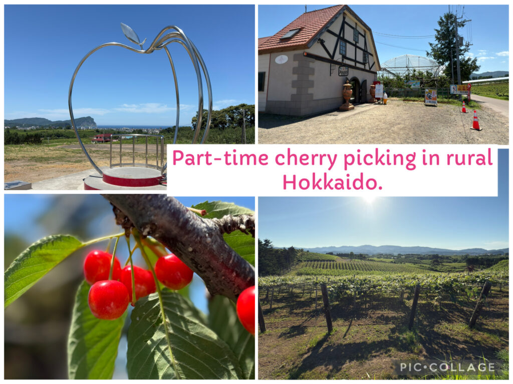 Apple-shaped metal monument overlooking scenic ocean and orchard views in Yoichi, Hokkaido. Popular photo spot in a local fruit farm with panoramic landscapes of the coastline and countryside.