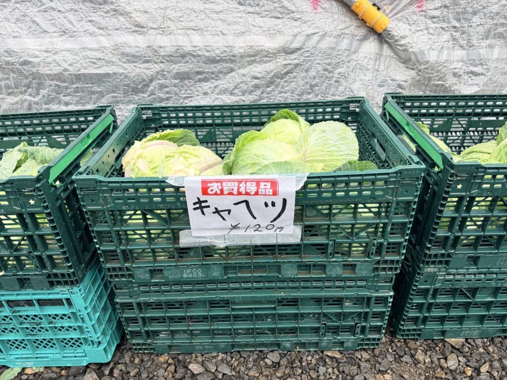 ニセコ町の芳賀農場で販売されていたキャベツ120円|夏の野菜直売所