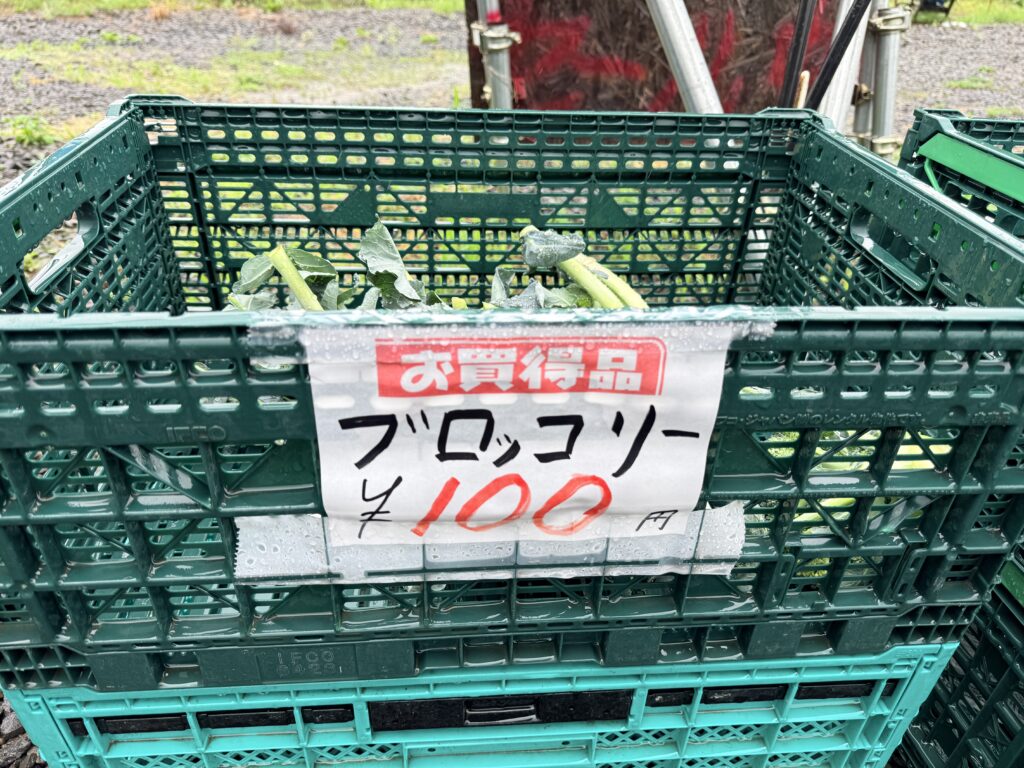 ニセコ町の芳賀農場で販売されていたブロッコリー100円|北海道の野菜直売所
