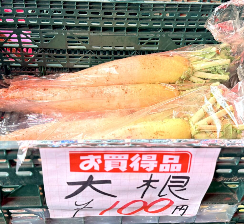 ニセコ町の芳賀農場で販売されていた大根100円|北海道の産直野菜