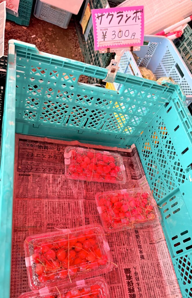 ニセコ町の芳賀農場で販売されていたサクランボ300円|北海道の直売所