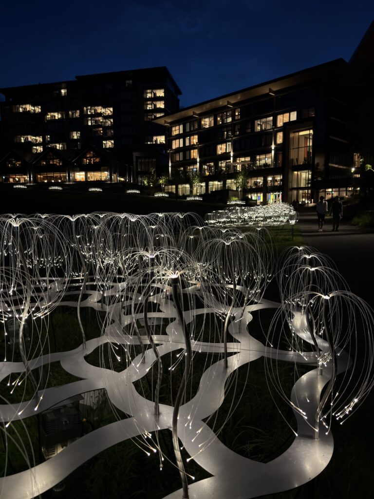 Close-up of Mountain Lights stainless-wire light art with hotel buildings in the background
