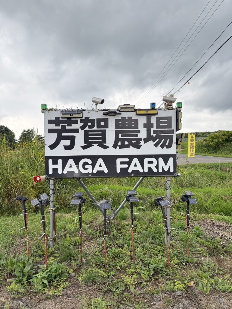 北海道・芳賀農場(HAGA FARM)の看板。新鮮野菜直売や観光客に人気のローカルファームの入り口を示す目印。