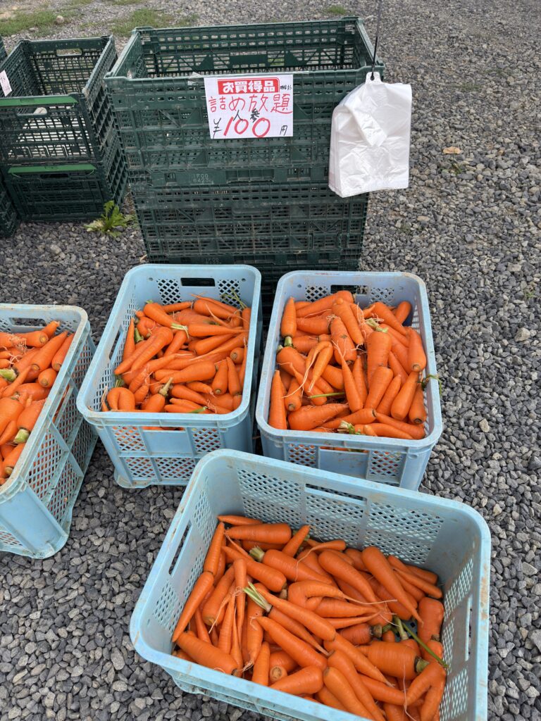 北海道・芳賀農場の人参詰め放題100円の様子。新鮮で色鮮やかなにんじんが青いコンテナに並び、直売所の人気お買い得商品。