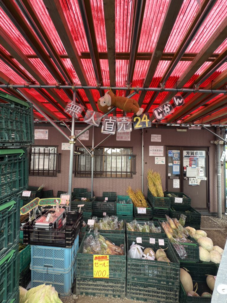 北海道・芳賀農場の24時間無人直売所の店内風景。赤い屋根の下に新鮮なキャベツやメロン、野菜が並ぶ人気の直売スポット。