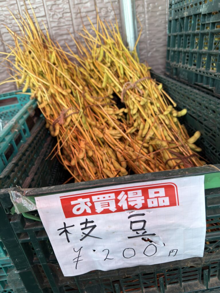 北海道・芳賀農場の無人直売所で販売される枝付き枝豆。1束200円のお買い得品として並ぶ新鮮な地元野菜。