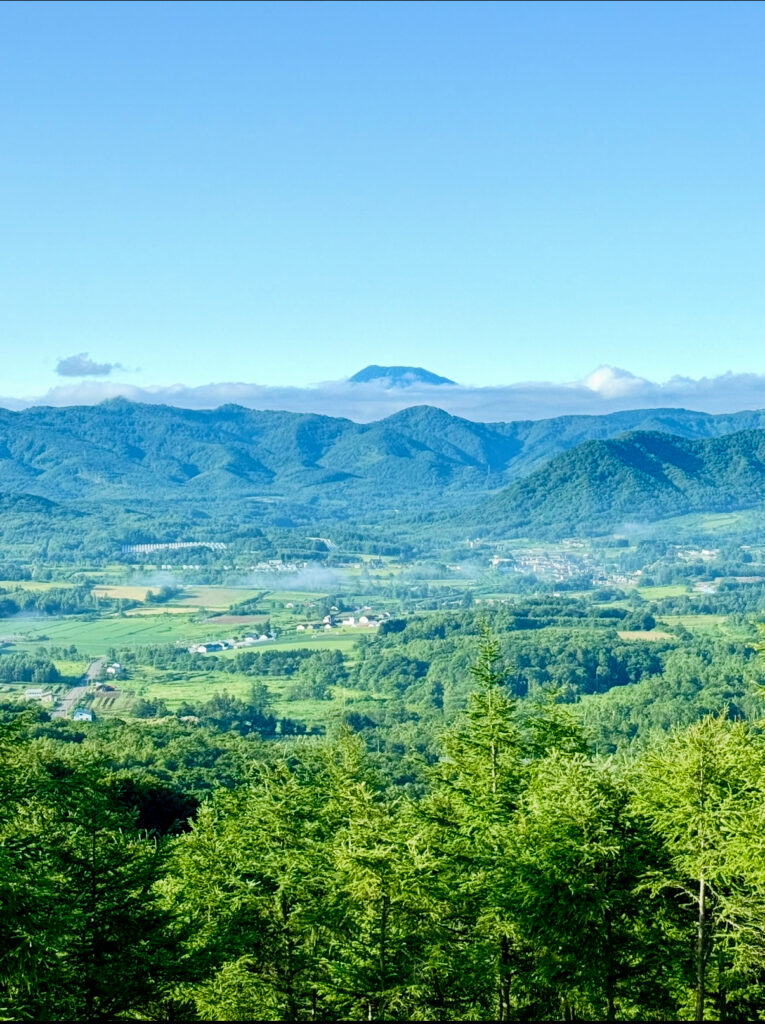 北海道・余市郡赤井川村|カルデラ展望所(冷水峠)からの絶景パノラマ—朝の雲海に浮かぶ羊蹄山とカルデラ盆地の緑の田園風景