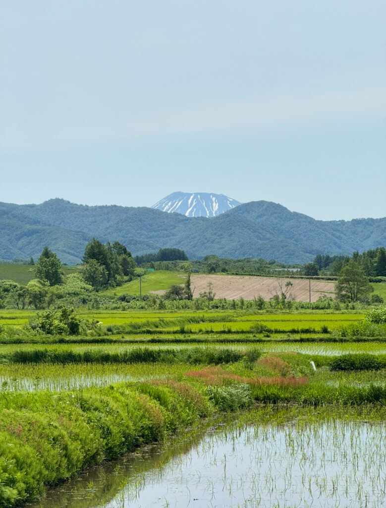 北海道・赤井川村|田植え直後の水田に映る青空と緑の田園風景、奥に雪残る羊蹄山を望む初夏の絶景