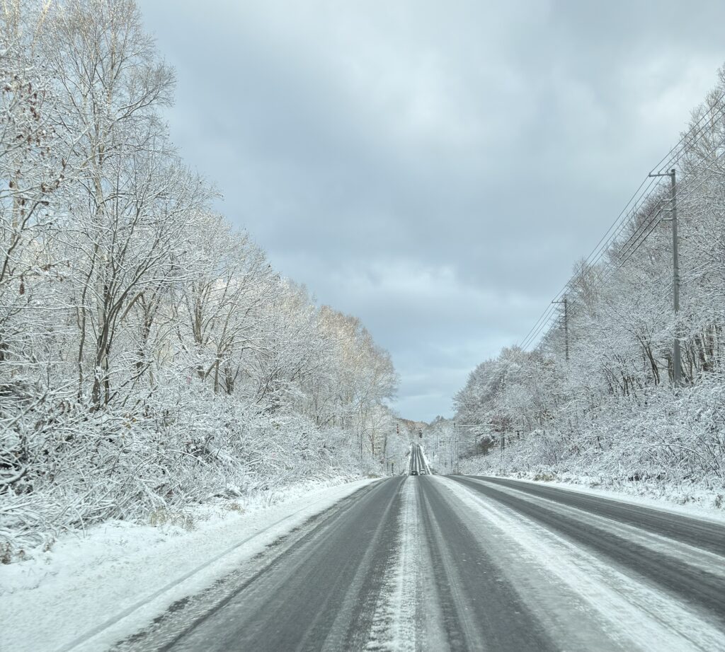 Snowy road in Niseko