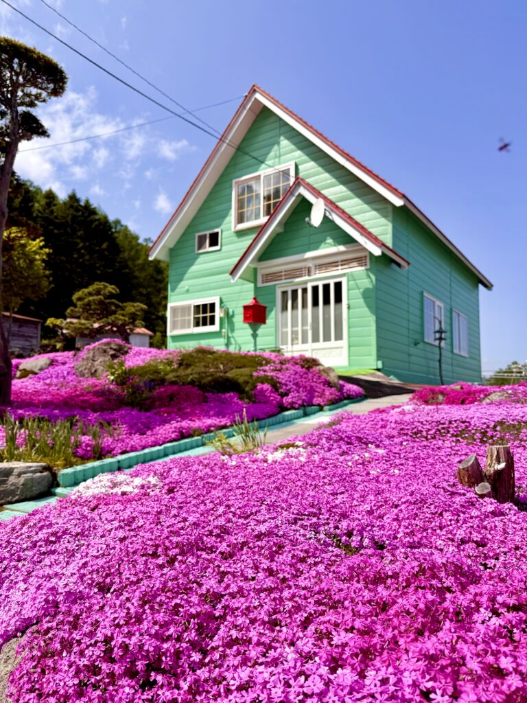三島さんの芝桜と緑色の建物