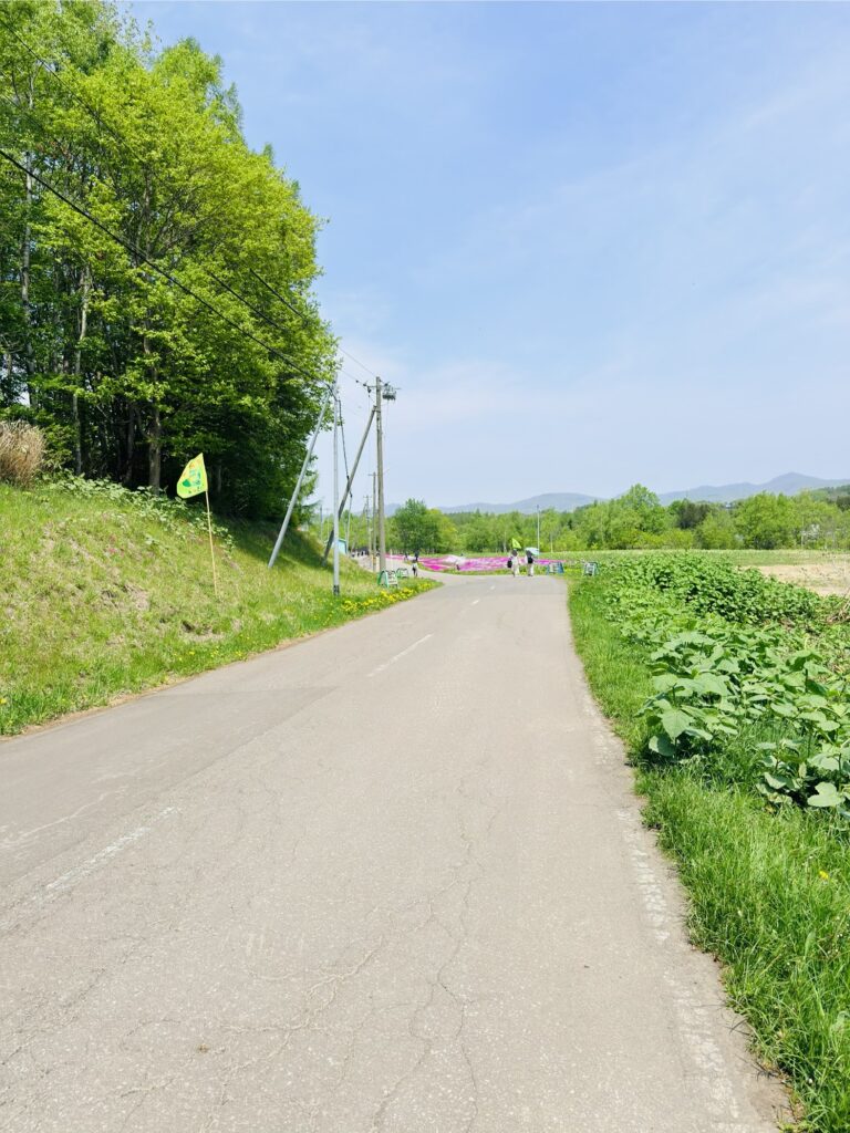 三島さんの芝桜までの道路状況2026