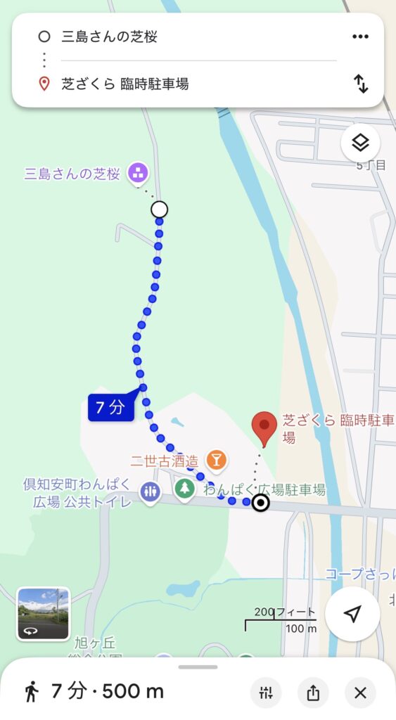臨時駐車場から三島さんの芝桜までは約500mほどで、徒歩約7分