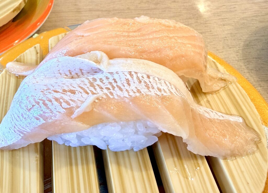 Salmon