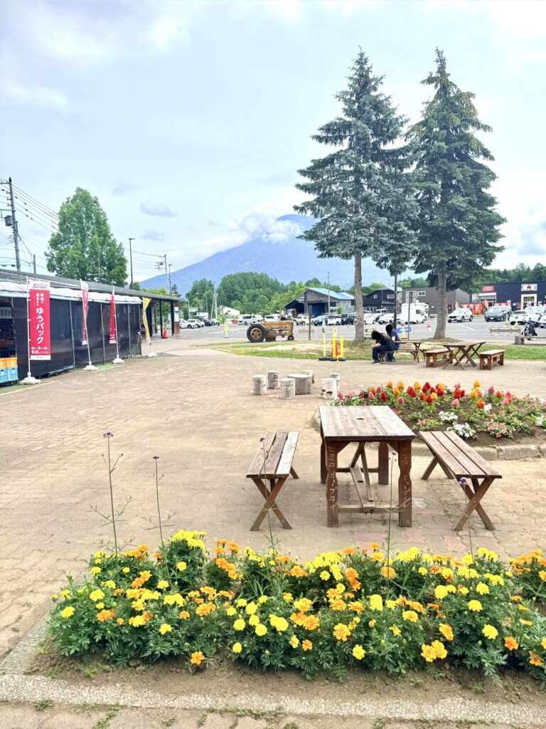 道の駅ニセコビュープラザ夏の花壇と羊蹄山の景色 ベンチで休憩できる人気観光スポット
