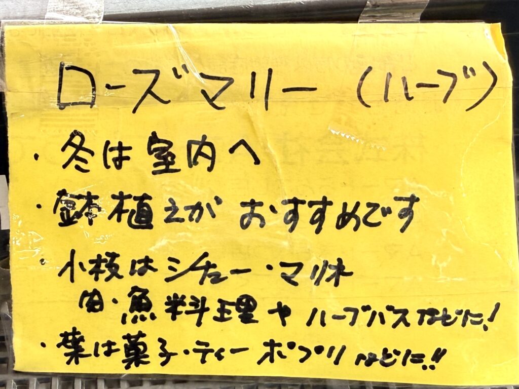 道の駅ニセコビュープラザのローズマリー栽培方法 冬越しや鉢植えの育て方を紹介する案内