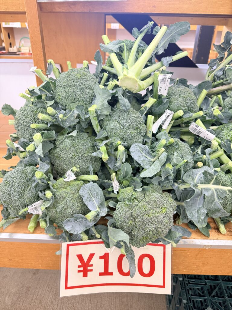 道の駅ニセコビュープラザで販売されるニセコ産ブロッコリー 100円の新鮮野菜コーナー