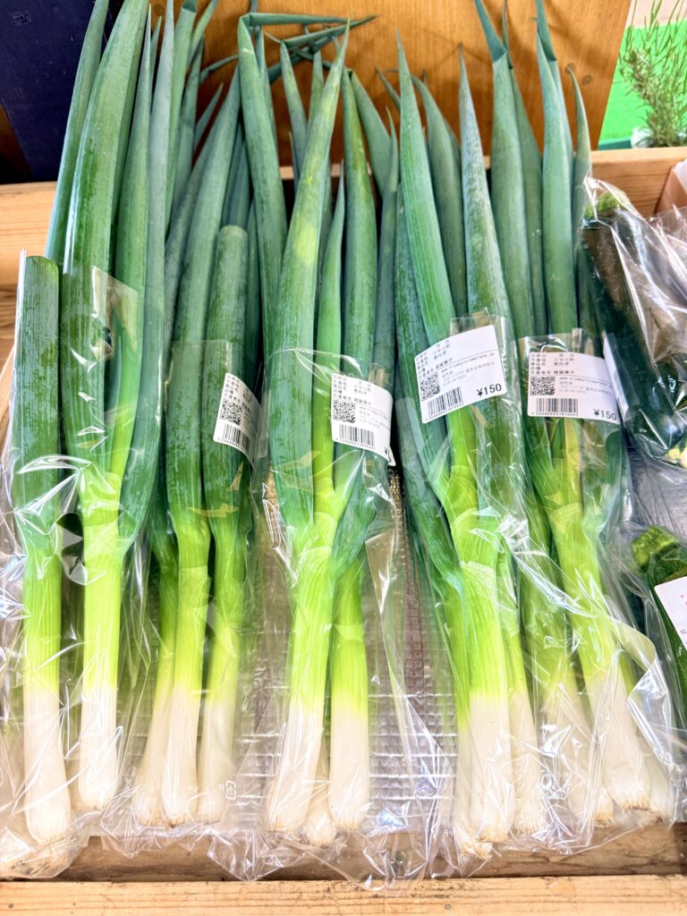 道の駅ニセコビュープラザで販売されるミニトマト苗 赤あまい品種の野菜苗コーナー