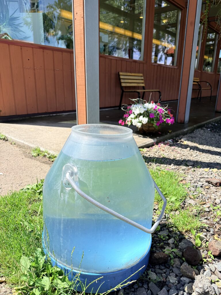 高橋牧場ニセコミルク工房前に展示された牛乳缶オブジェ(北海道ニセコ町)