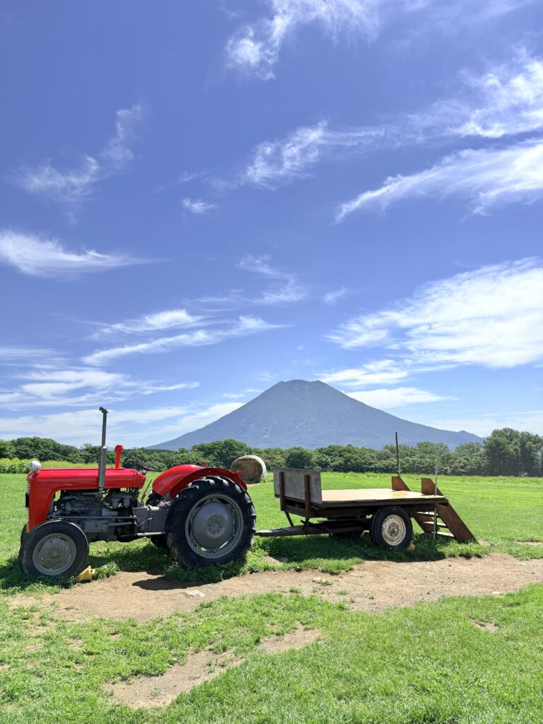 高橋牧場ひまわり畑に展示された赤いトラクター