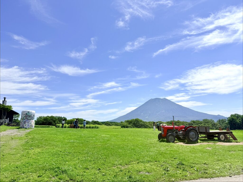 高橋牧場ひまわり畑に展示された赤いトラクター