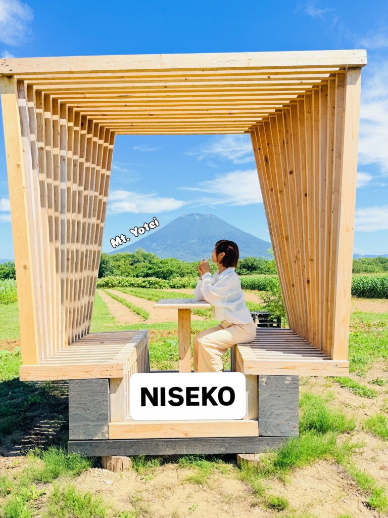 ニセコ蒸溜所第二貯蔵庫のベジピク絶景テラスと夏の羊蹄山