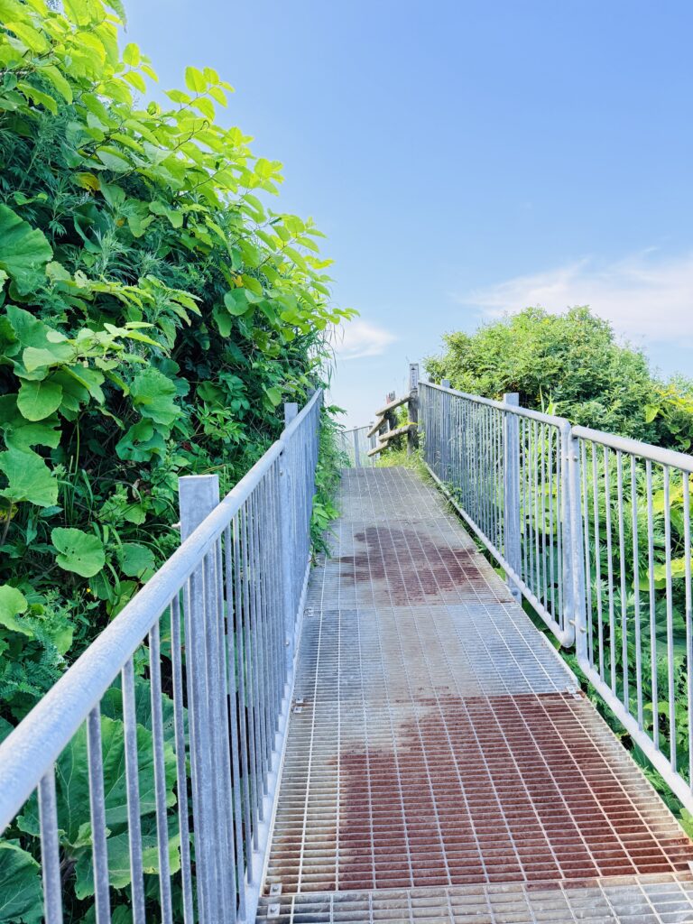 神威岬先端へ続くチャレンカの小道の階段