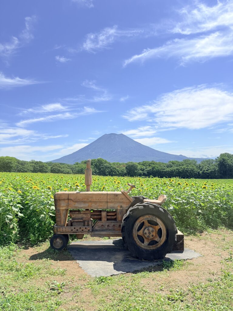 ニセコ高橋牧場ミルク工房の木製トラクターベンチと羊蹄山