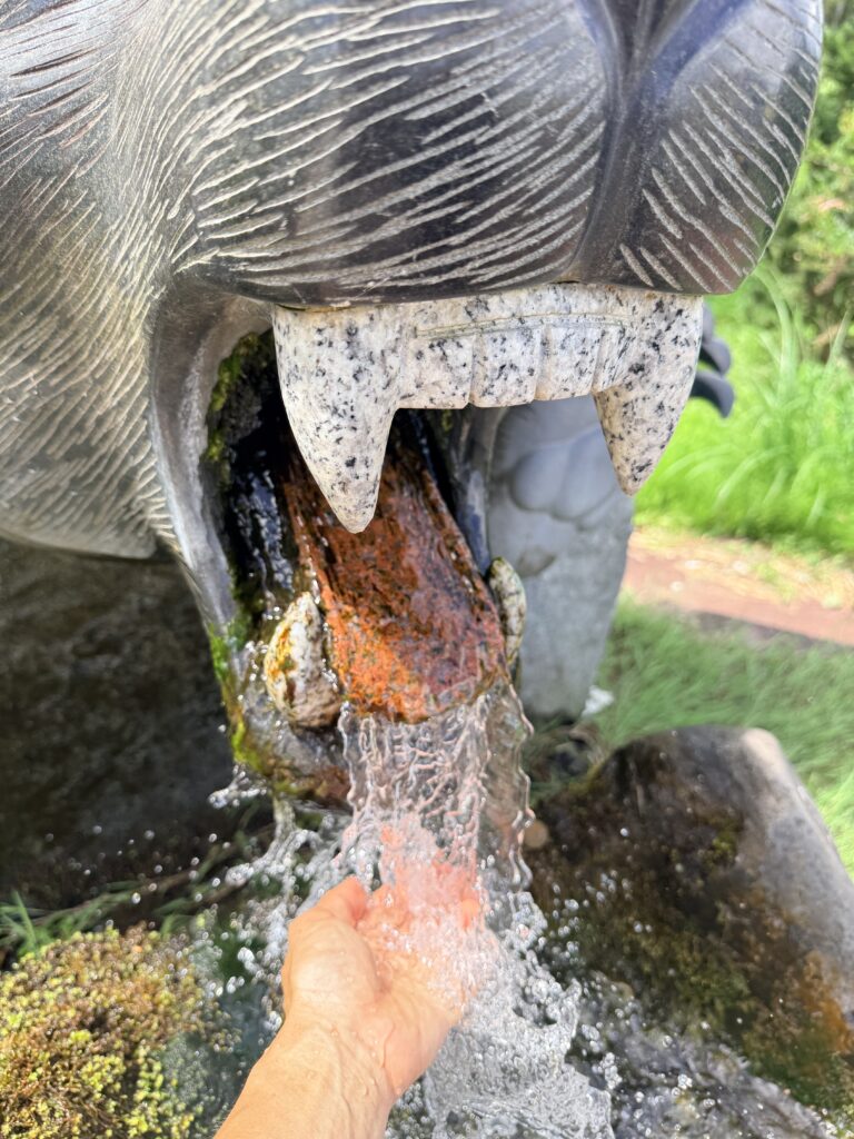 倶知安町の拓跡 クマの湧水ごん太の口から流れる水