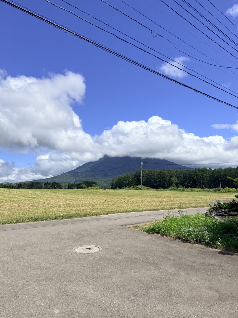 倶知安町・望羊癒しの杜周辺から望む夏の羊蹄山と緑の風景