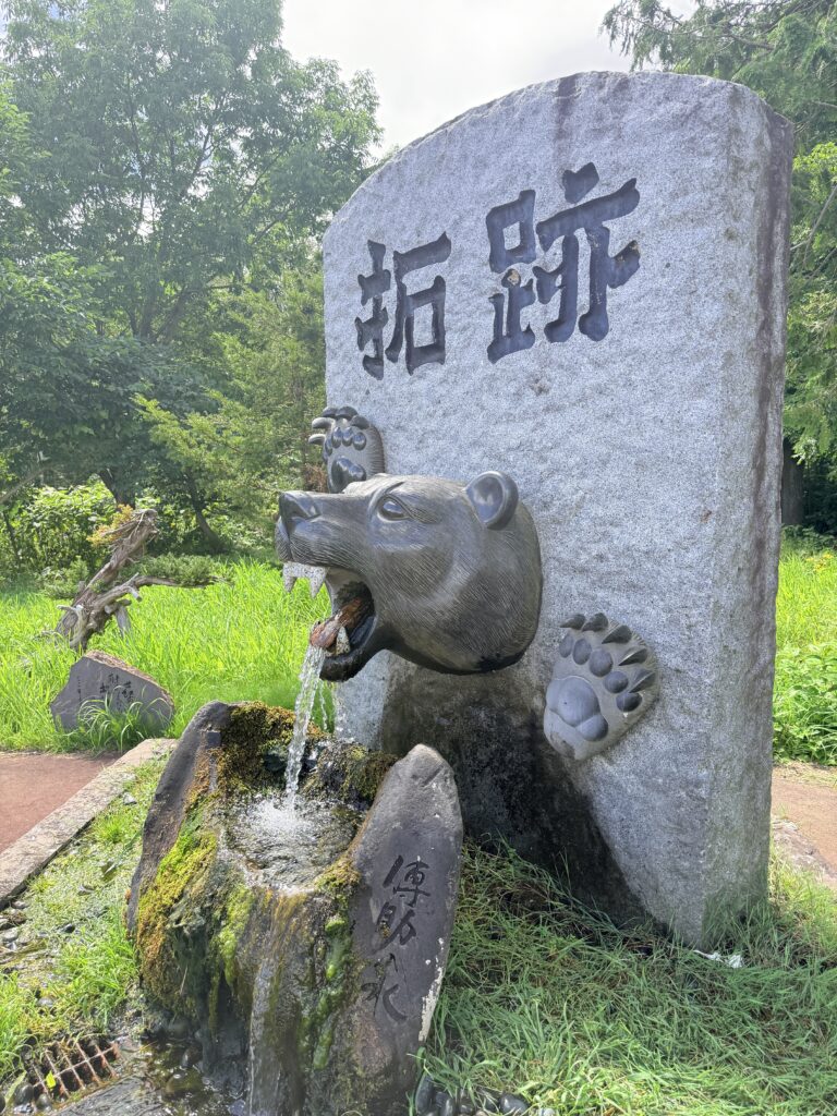 倶知安町の拓跡 クマの湧水ごん太の横顔