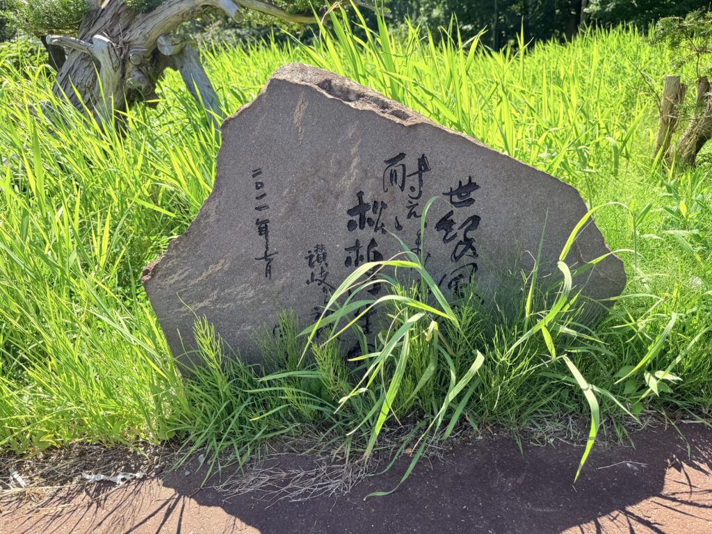望羊癒しの杜周辺にある世紀の松の石碑と夏の草木