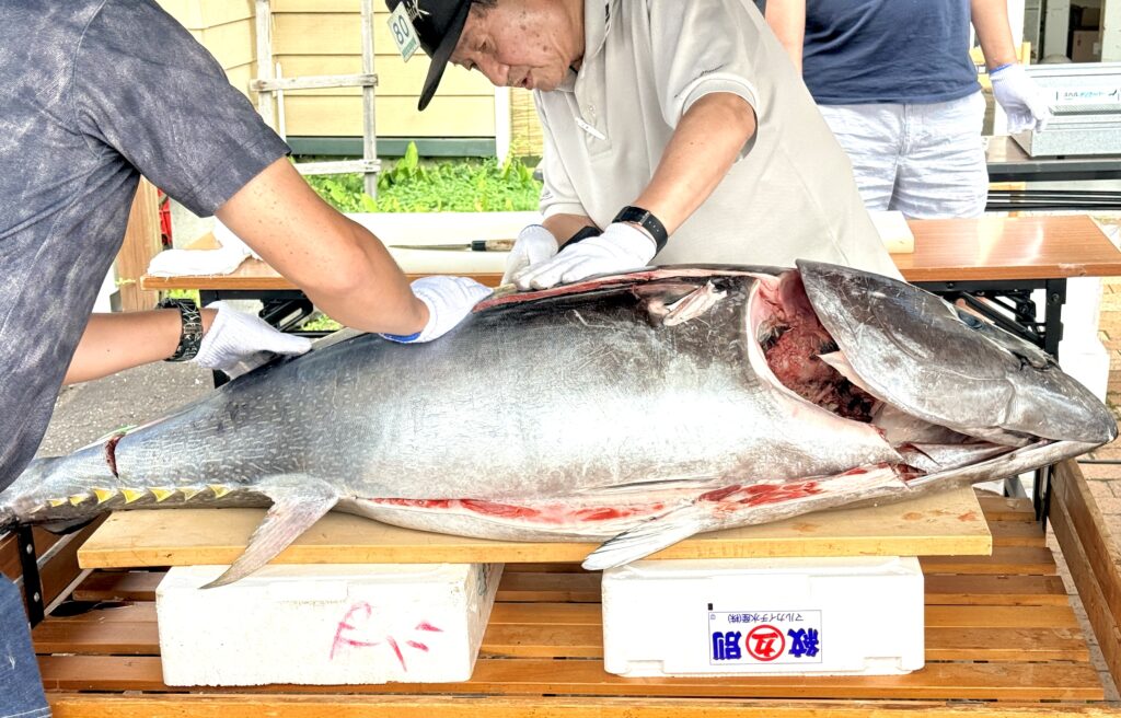ニセコ清水商店前で行われた生マグロ解体ショー