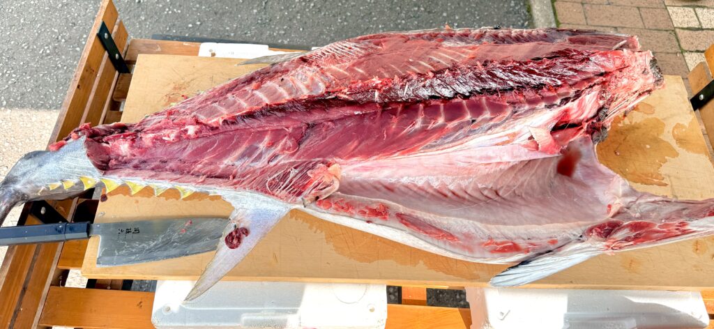 清水商店前の生マグロ解体ショーで使われた大きなマグロ