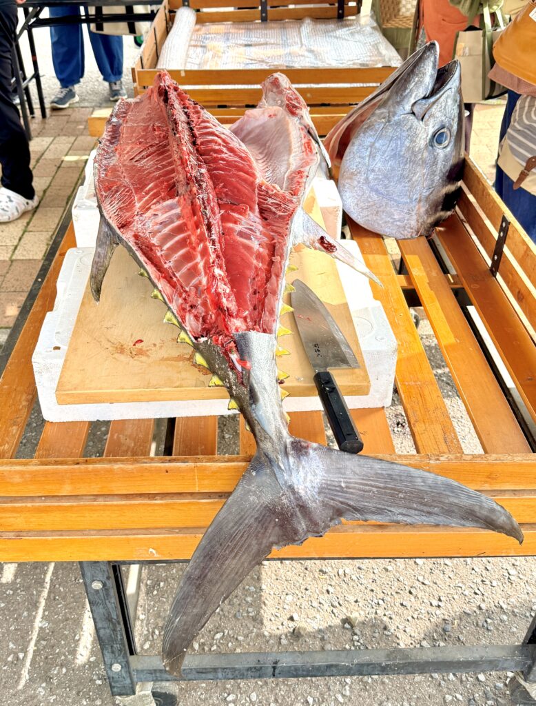 清水商店前の生マグロ解体ショーで使われた大きなマグロ